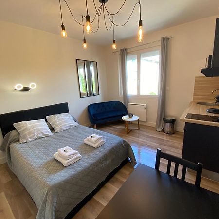 Au 3 Rue Manhes Apartment Albi Bagian luar foto