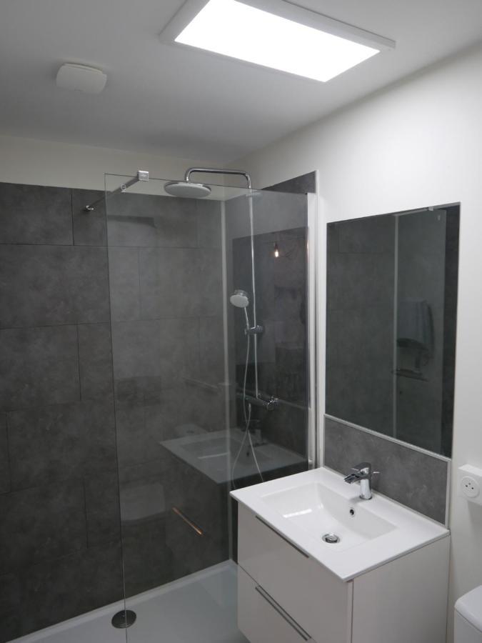 Au 3 Rue Manhes Apartment Albi Bagian luar foto