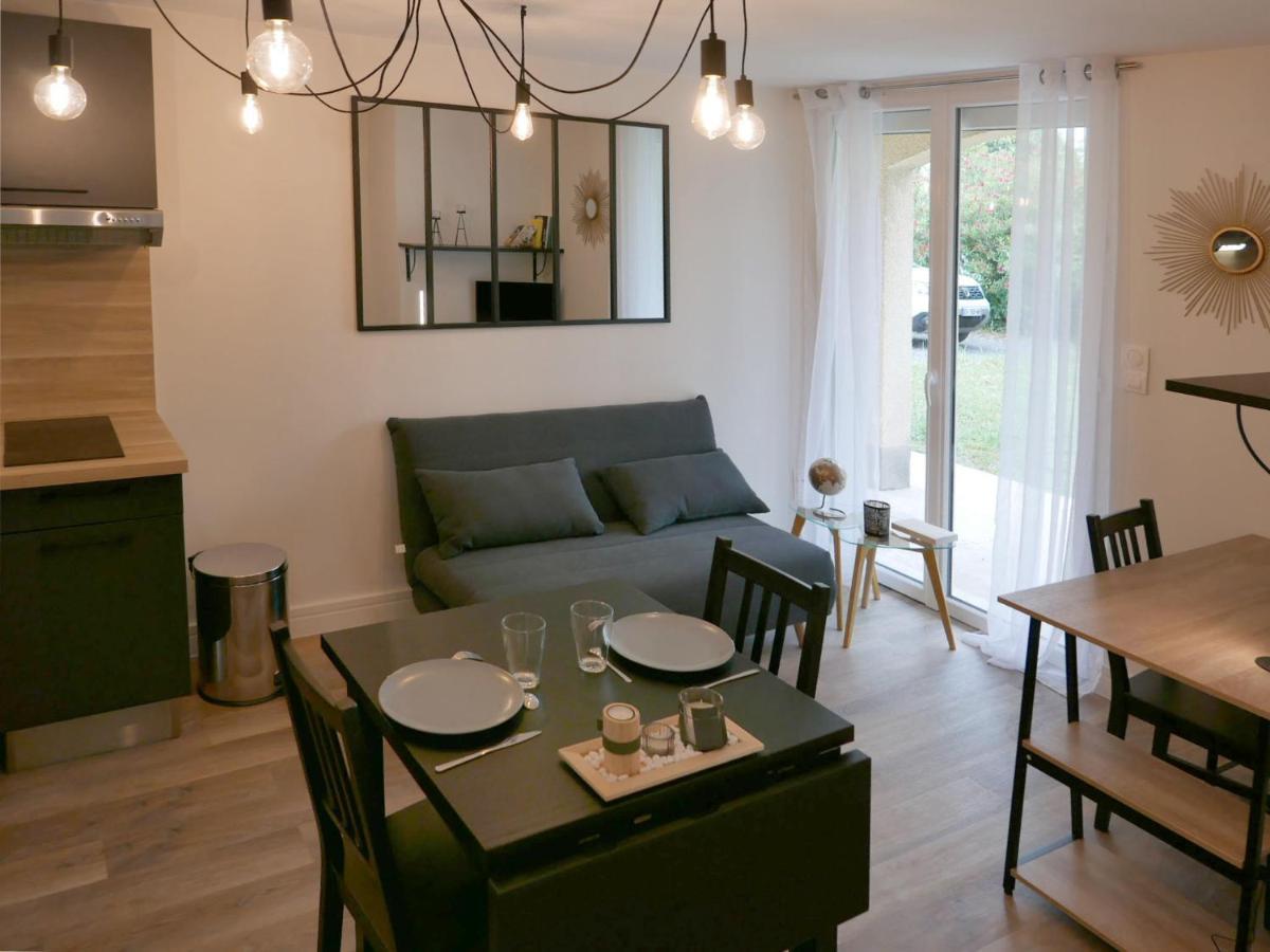 Au 3 Rue Manhes Apartment Albi Bagian luar foto