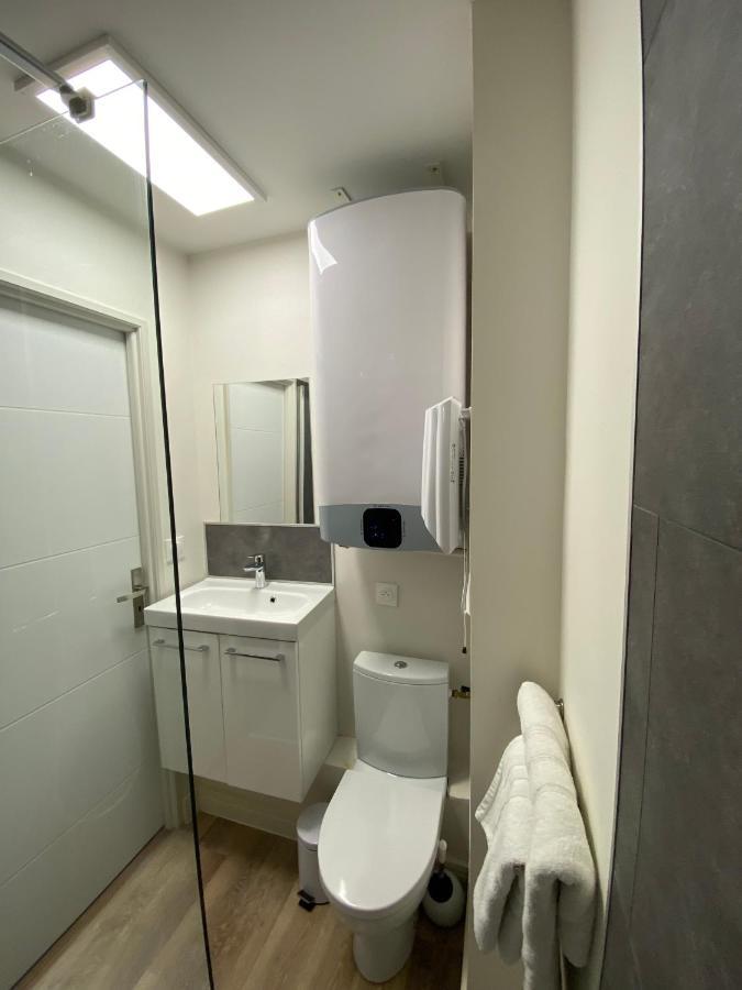 Au 3 Rue Manhes Apartment Albi Bagian luar foto