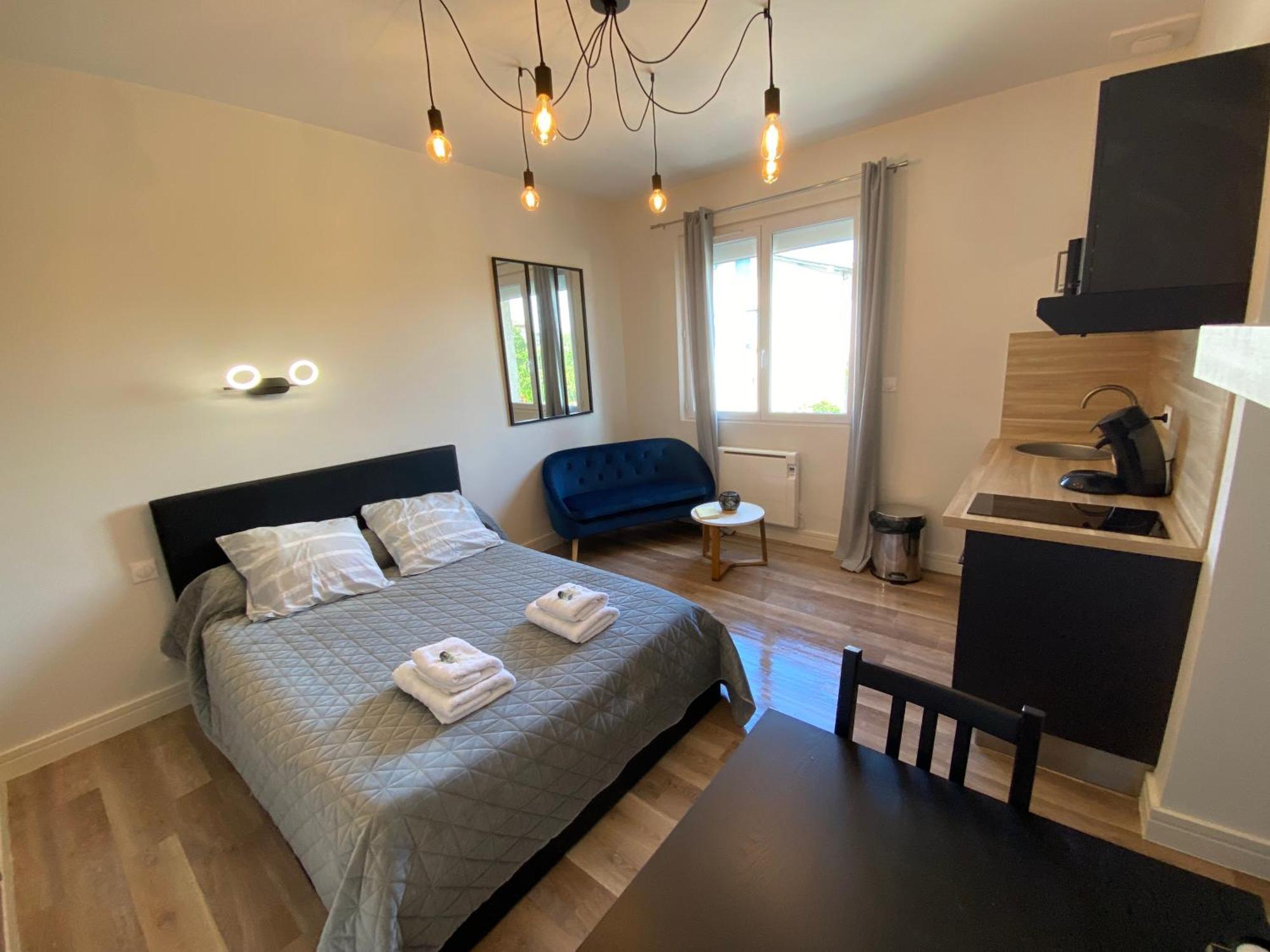 Au 3 Rue Manhes Apartment Albi Bagian luar foto