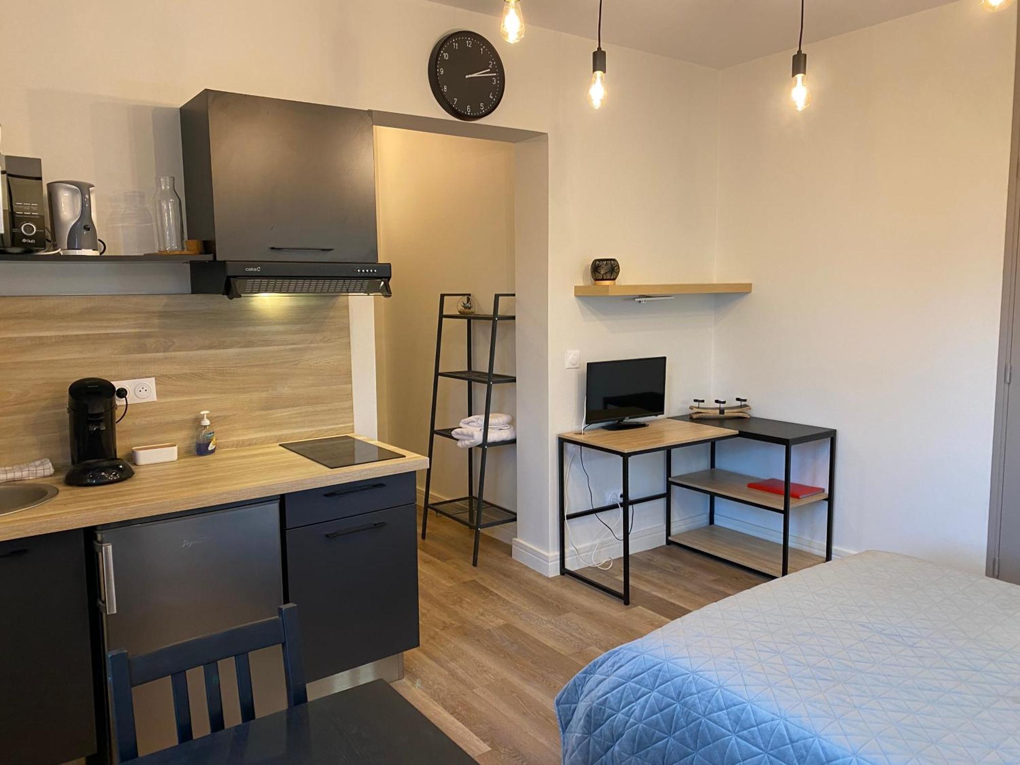 Au 3 Rue Manhes Apartment Albi Bagian luar foto