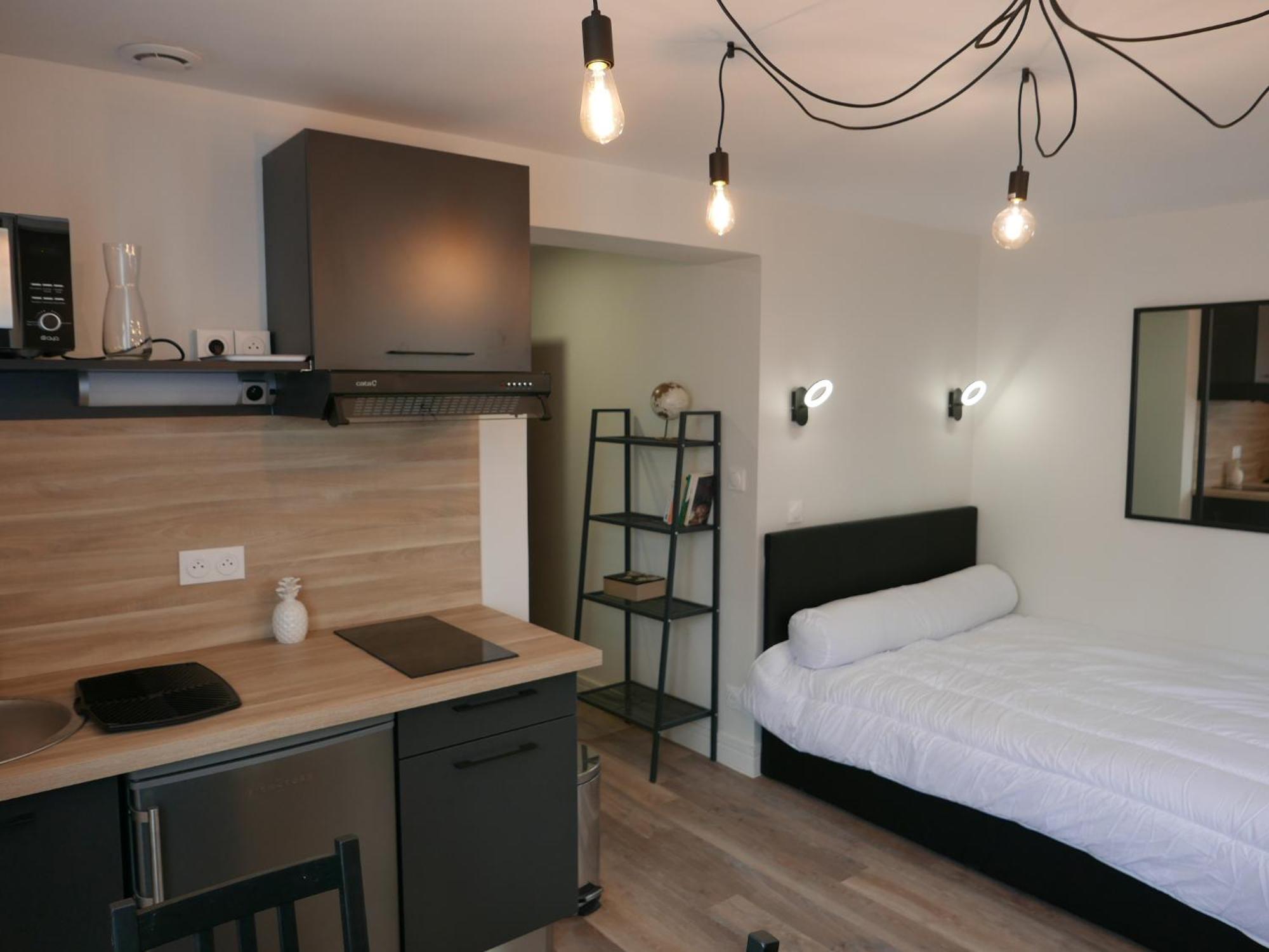 Au 3 Rue Manhes Apartment Albi Bagian luar foto