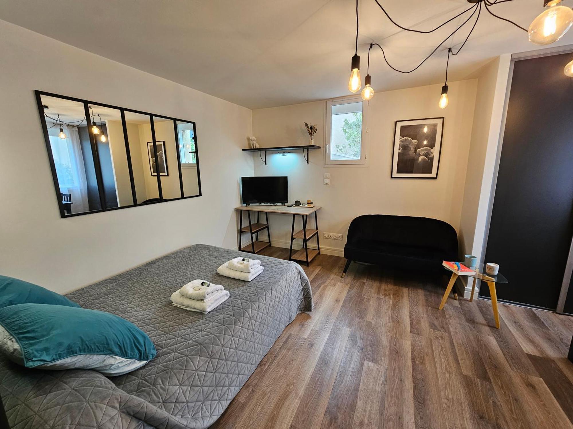 Au 3 Rue Manhes Apartment Albi Bagian luar foto