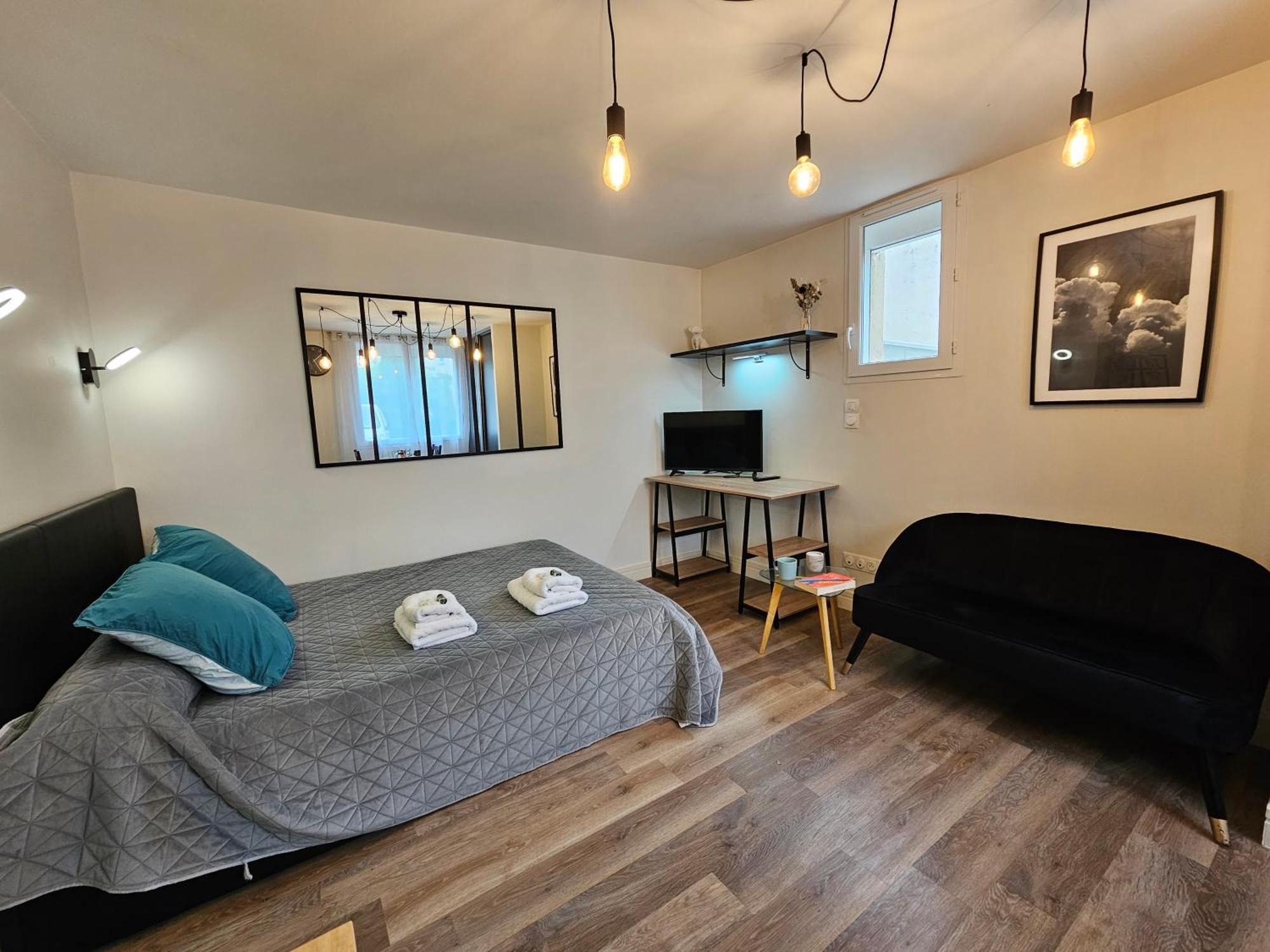 Au 3 Rue Manhes Apartment Albi Bagian luar foto