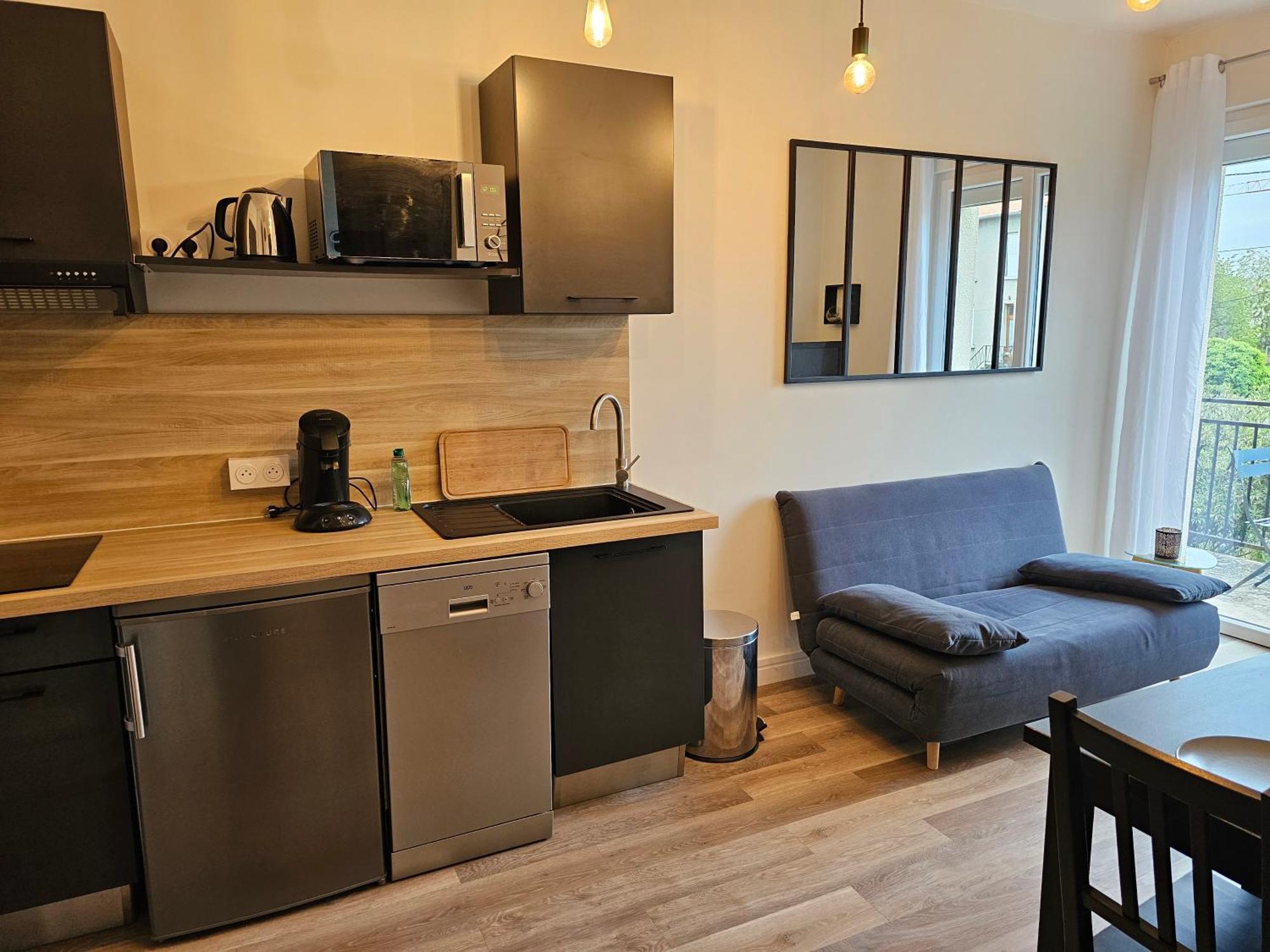 Au 3 Rue Manhes Apartment Albi Bagian luar foto