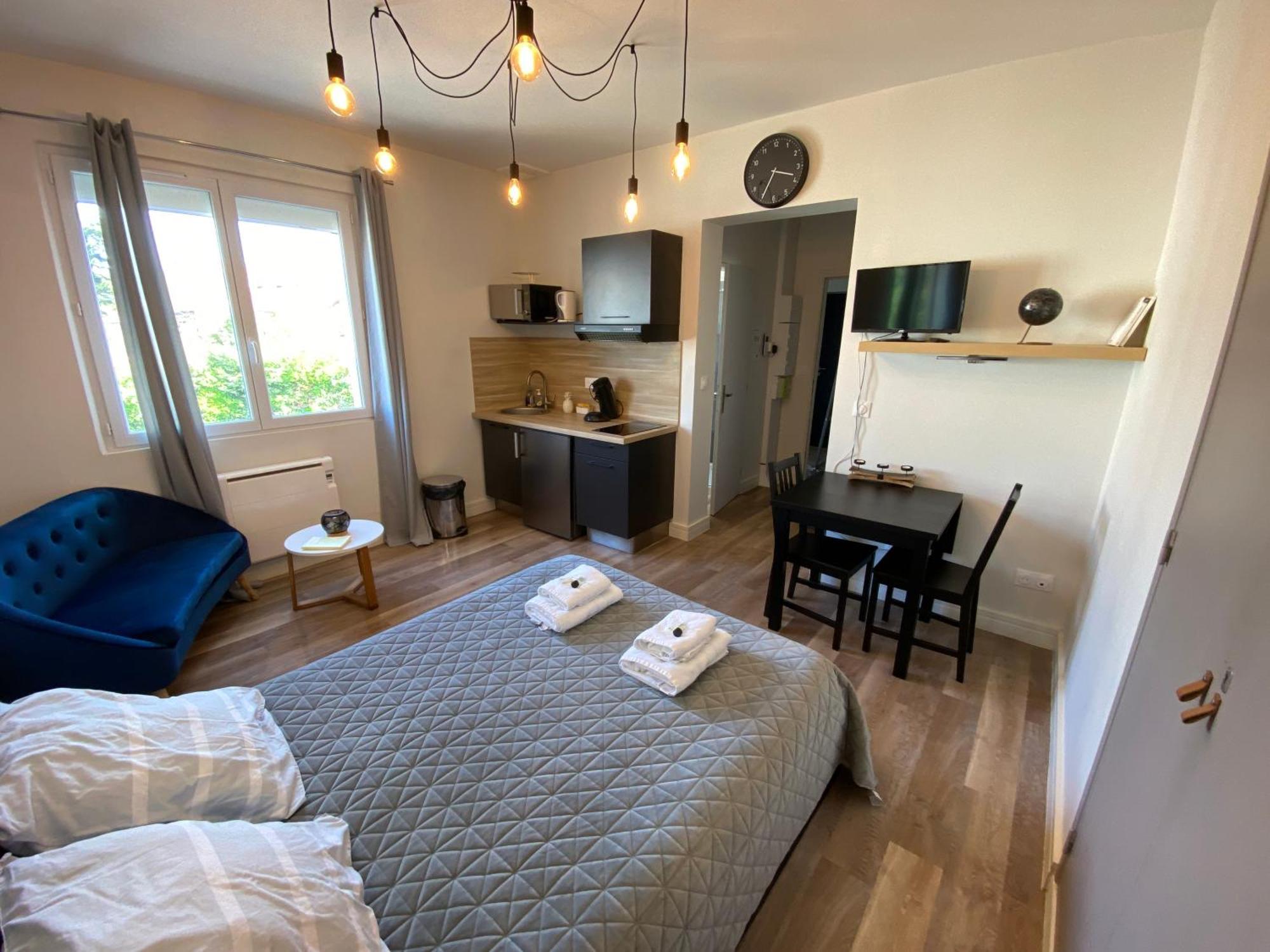 Au 3 Rue Manhes Apartment Albi Bagian luar foto